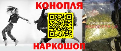крисы Аргун